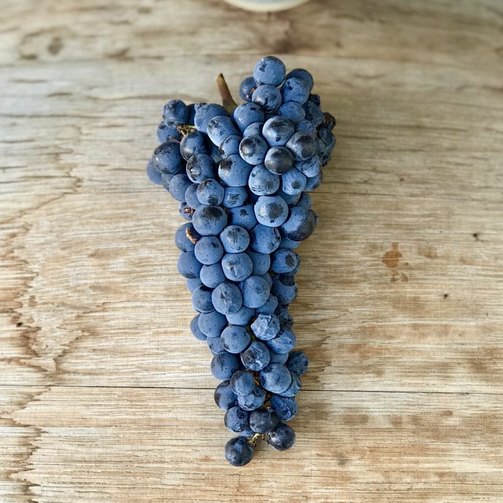 2019 Cabernet Sauvignon Sonoma Frozen Grape Must — Wine Grapes Direct