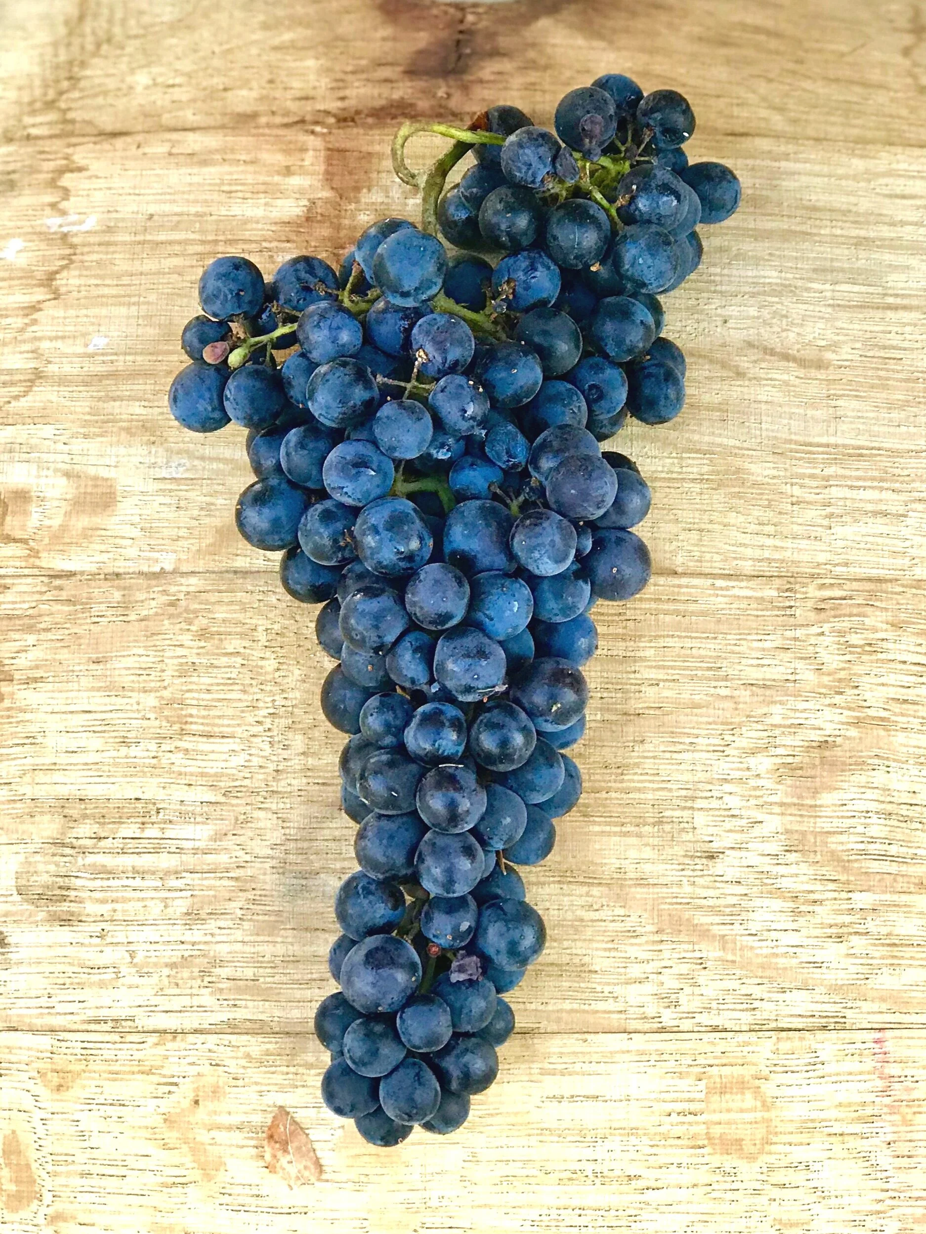 2019 Cabernet Sauvignon Napa Frozen Grape Must