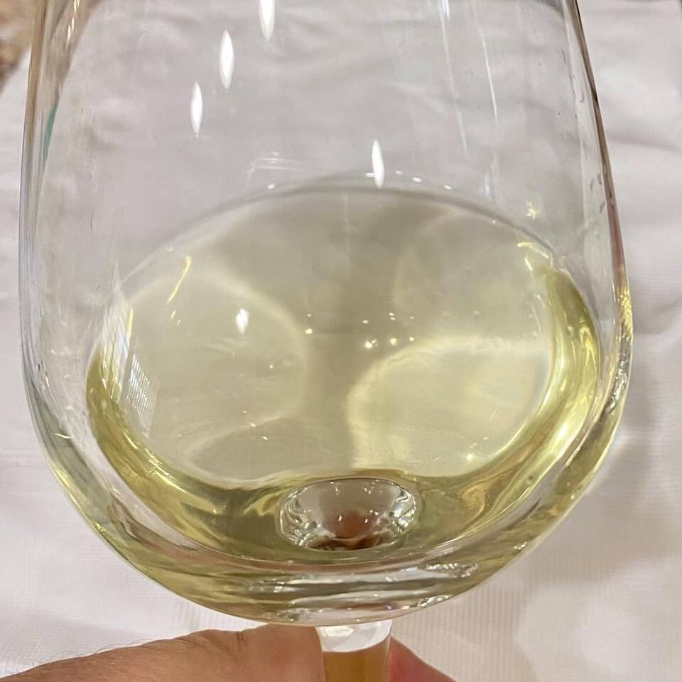 From Winemaker K. Hart: My co-fermented Semillon / Sauv Blanc blend (67% / 23%) is coming along nicely! Racked today and added bentonite at .5 g/L. Was tempted to not fine at all! Clarity is already fantastic! But figured it would be a prudent thing 