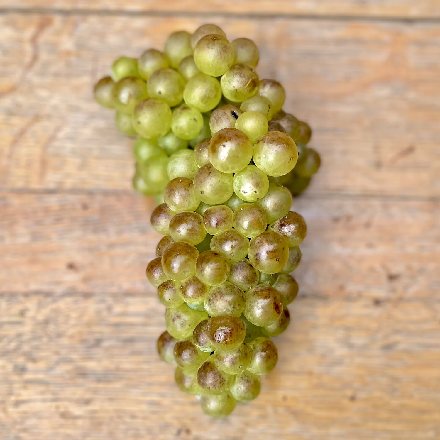 Frozen 2025 grape juice