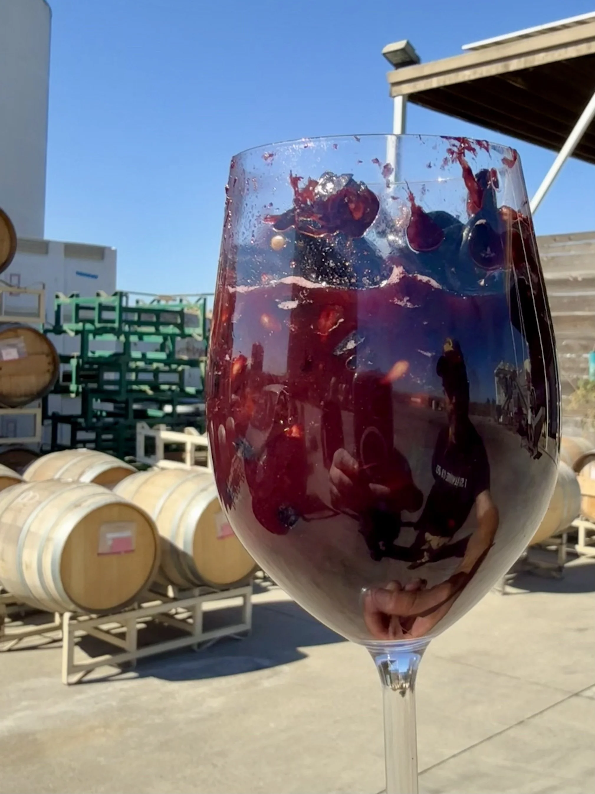 Unfermented deep garnet Tannat must and skins in a wineglass on the crush pad with oak barrels in background
