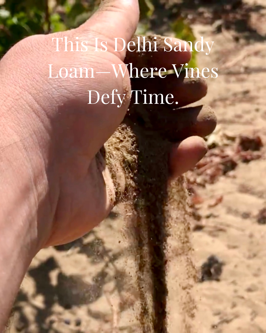 Black White Simple Quote Instagram Post.png.PNG