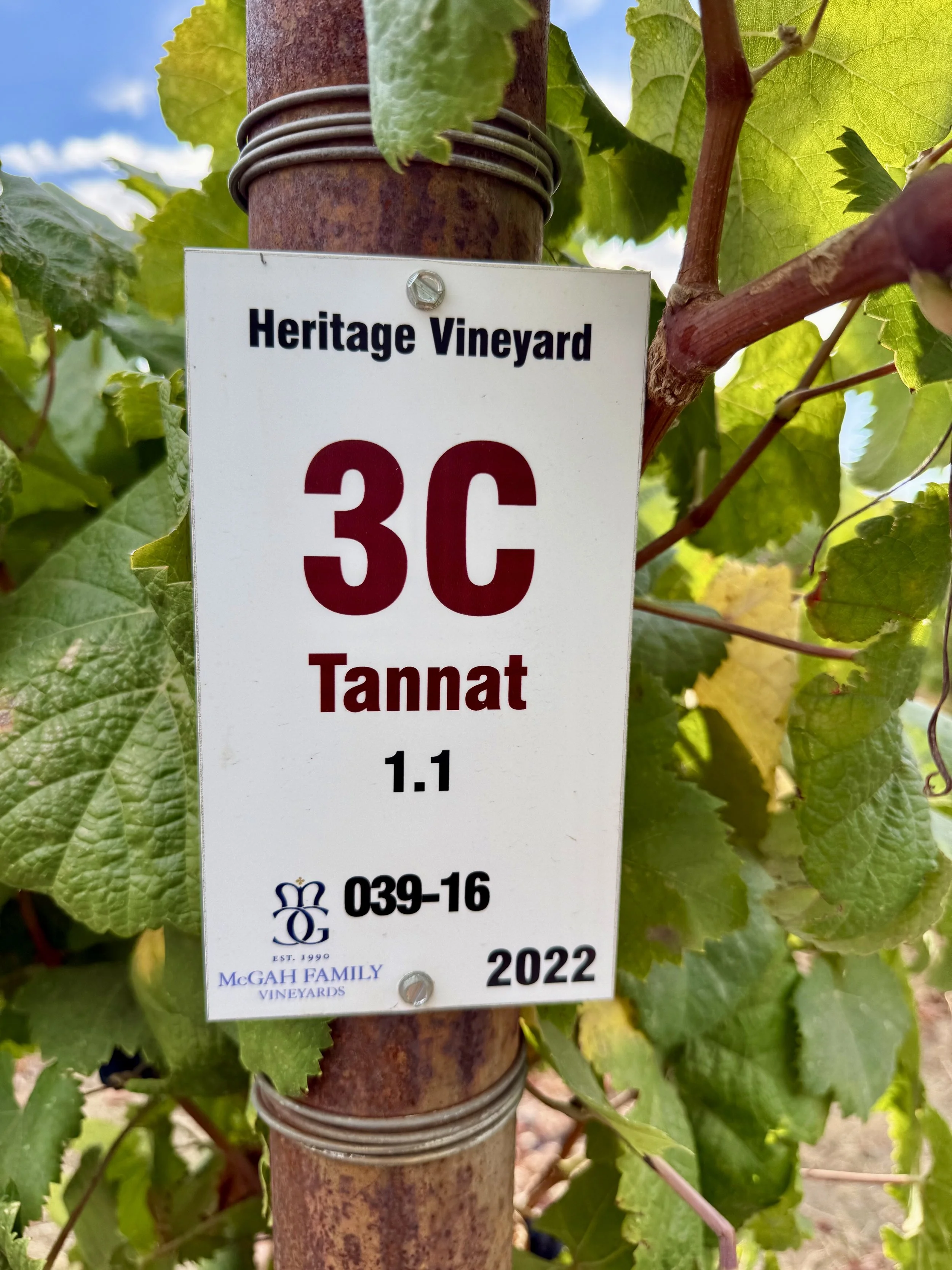 McGah Family Heritage Vineyard block 3C sign identifying Tannat 1.1 planted in 2022