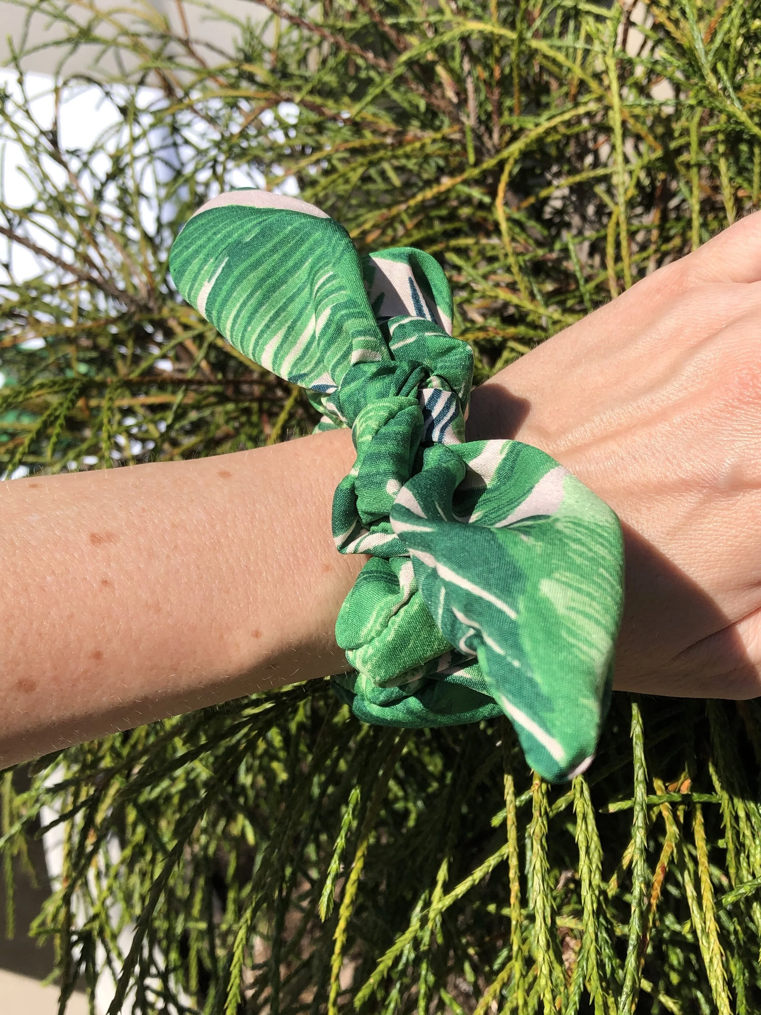 palm tree sets
