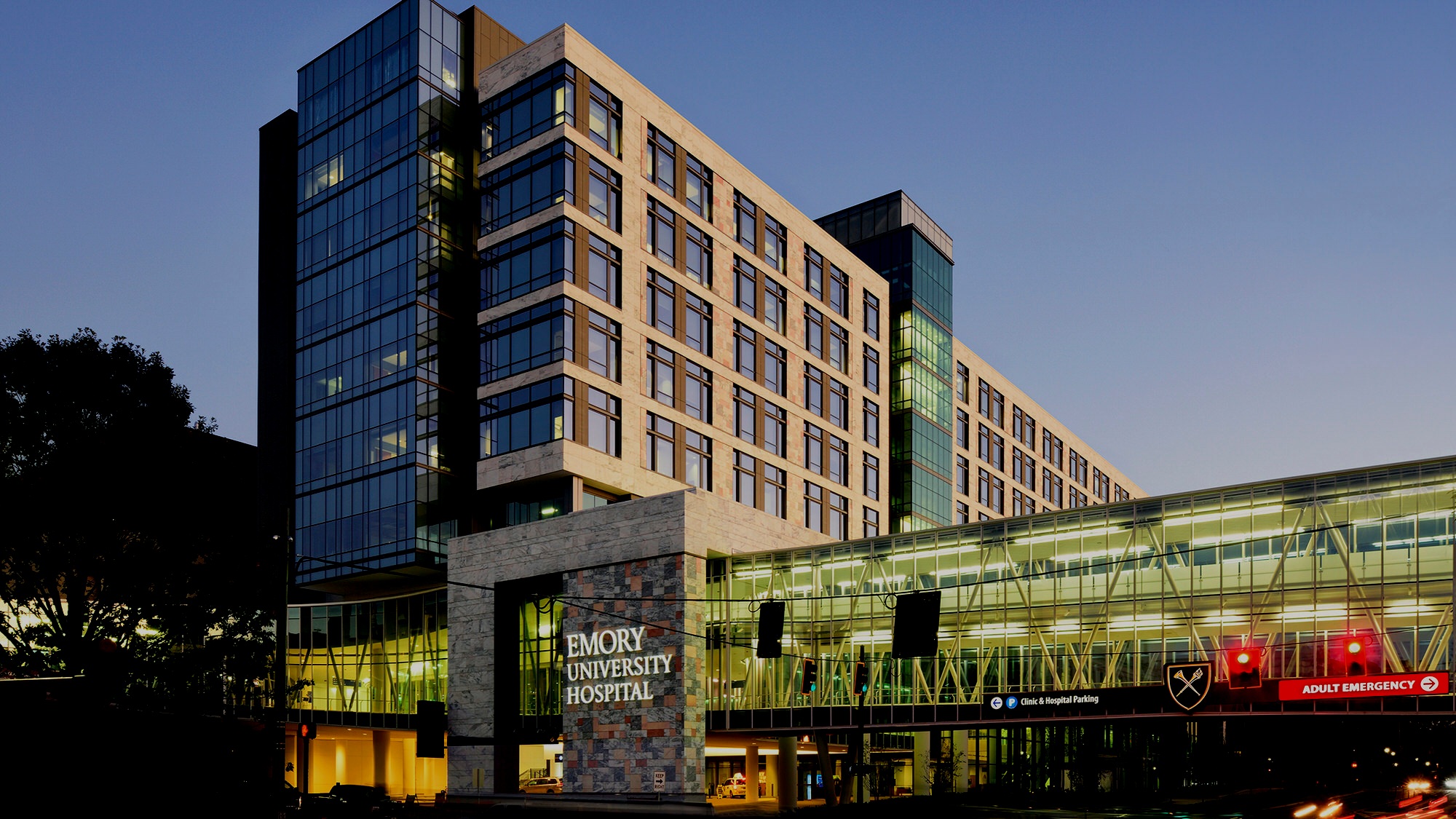 Other+Emory+Image.jpg