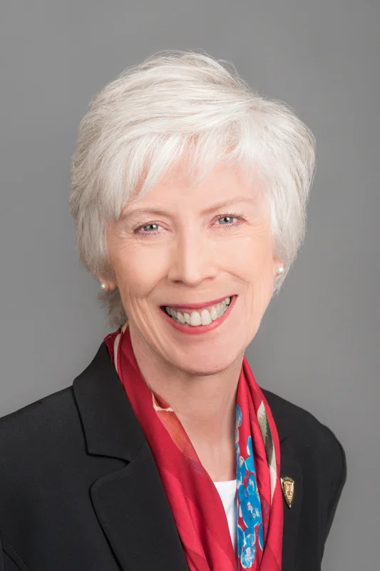 Sharon Pappas, PhD, RN, NEA-BC, FAAN Chief Nurse Executive, Emory Healthcare Professor, Clinical track and Coordinator of the Health System Leadership Track, DNP Program