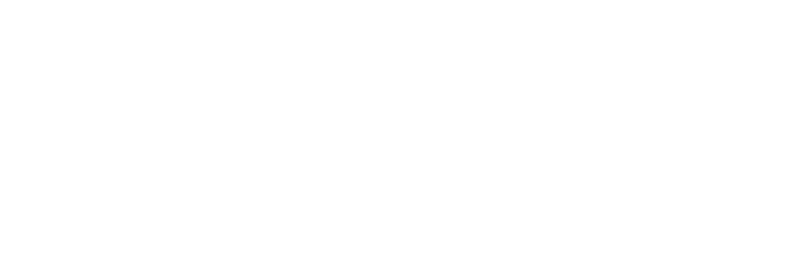 Princess Party Palace