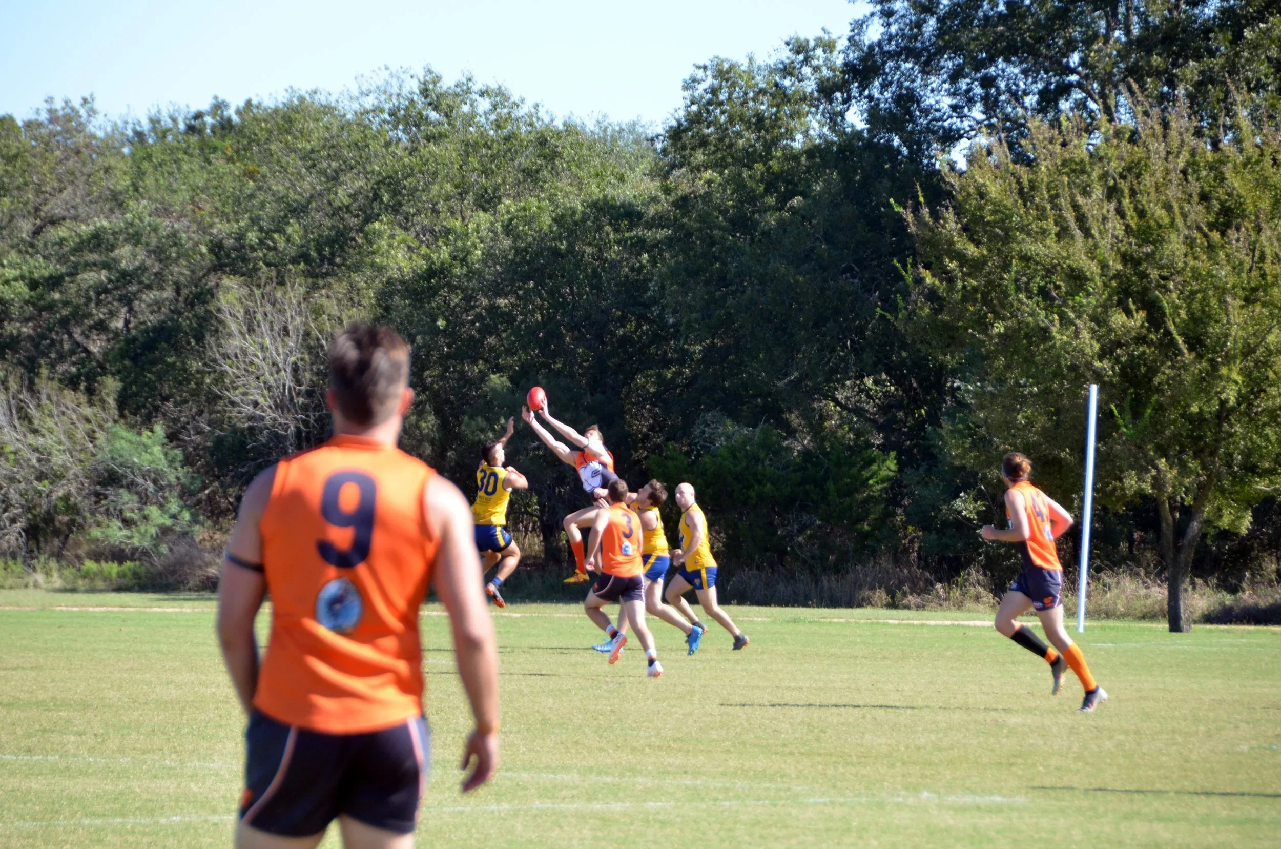 2025 Become a Giant.webp