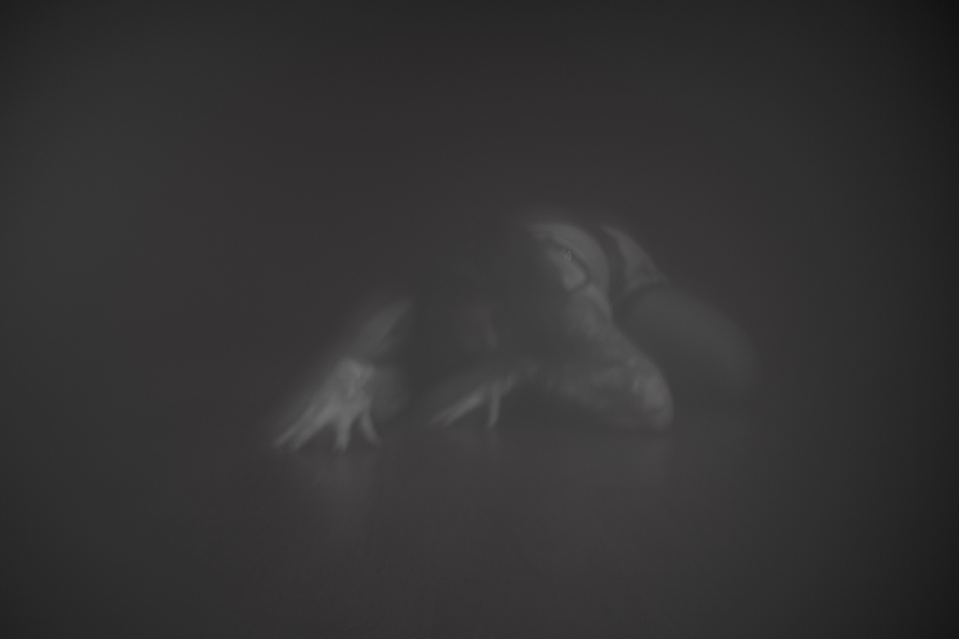 Wednesday-Floor_AdamDevillePhotography_webres_01.jpg