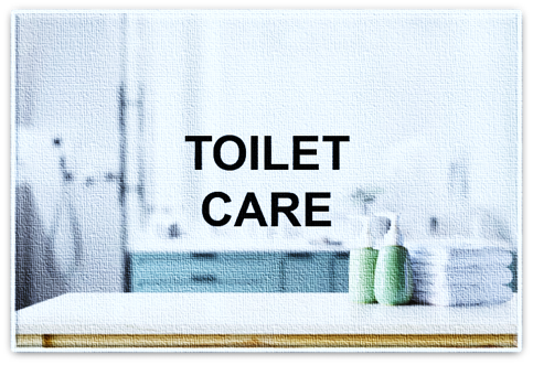 toiet new.png