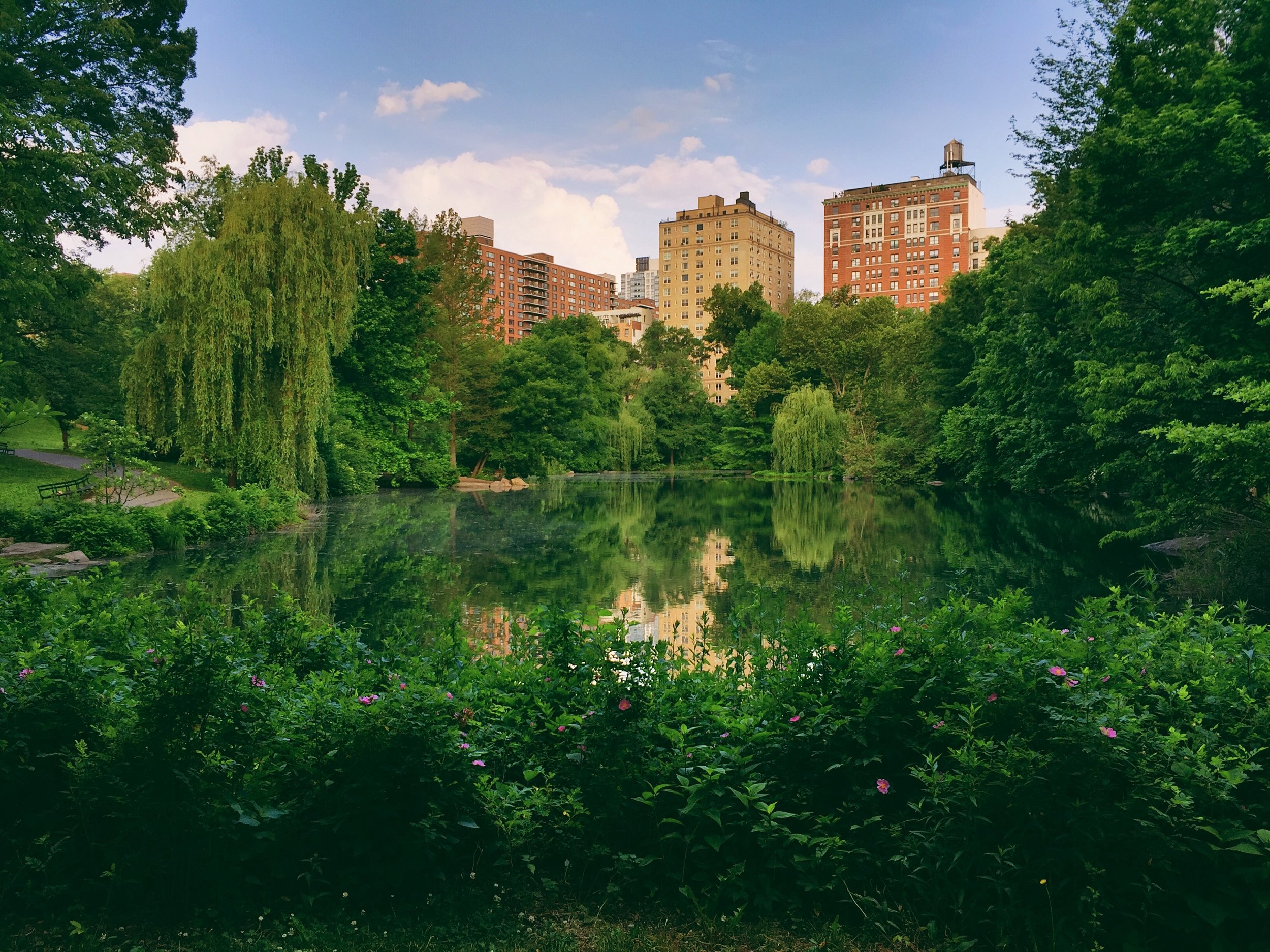 central park.jpg
