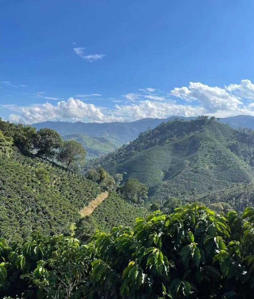 You might notice a slight change on your Colombia Excelso or Decaf Colombia coffee's label 😎 That's because we've teamed up with Woman owned Colombia Coffee Farm @itscarolinaposada ☕️ now coming straight from the source, our Colombia Coffee is bette