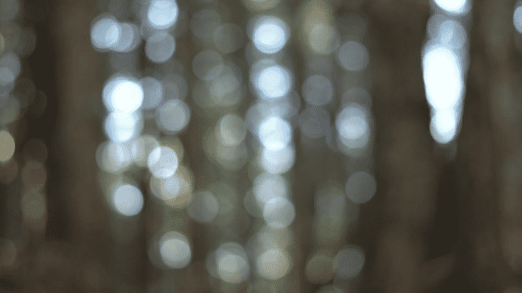 Memento Mori- A Short Film