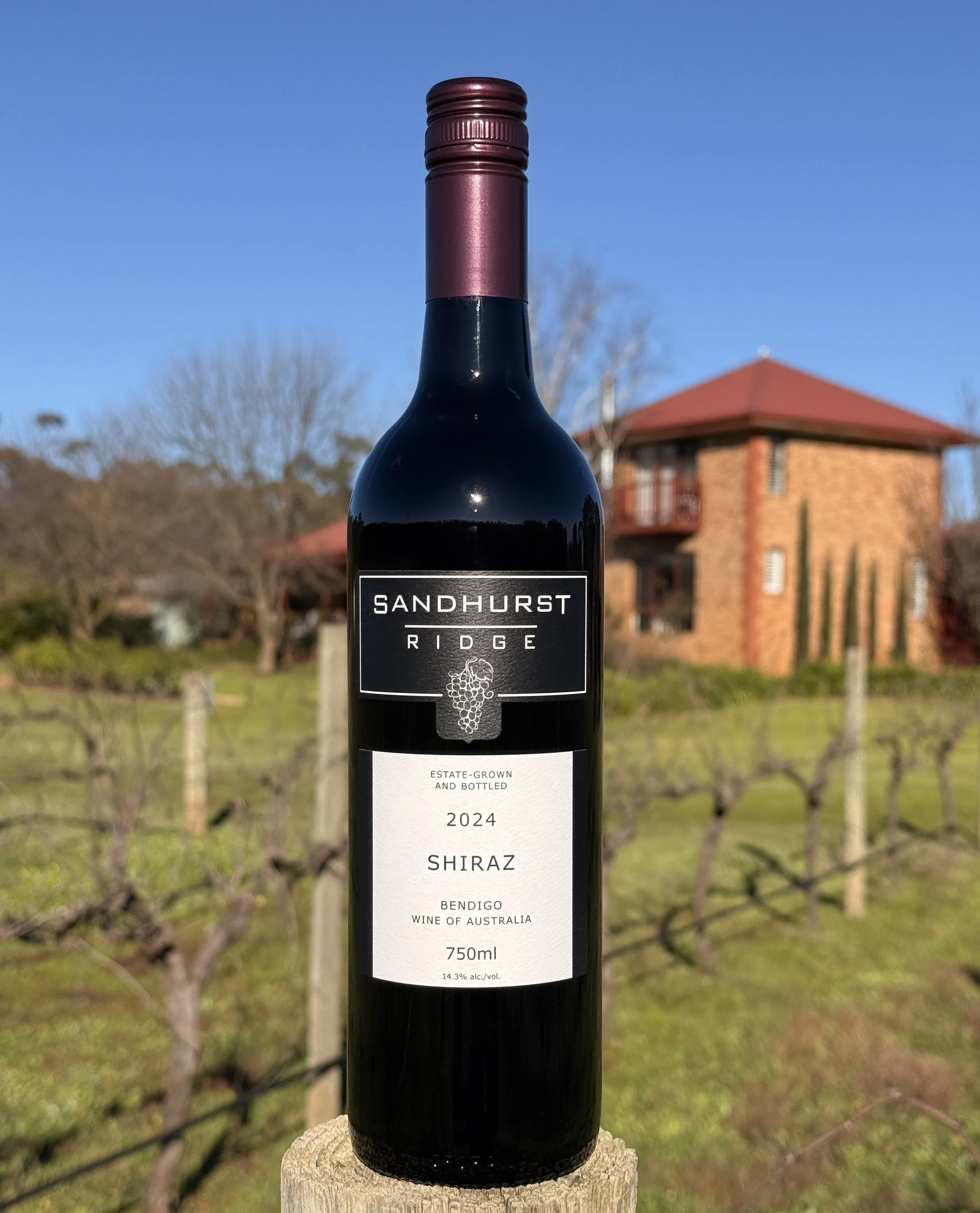 2024 Shiraz
