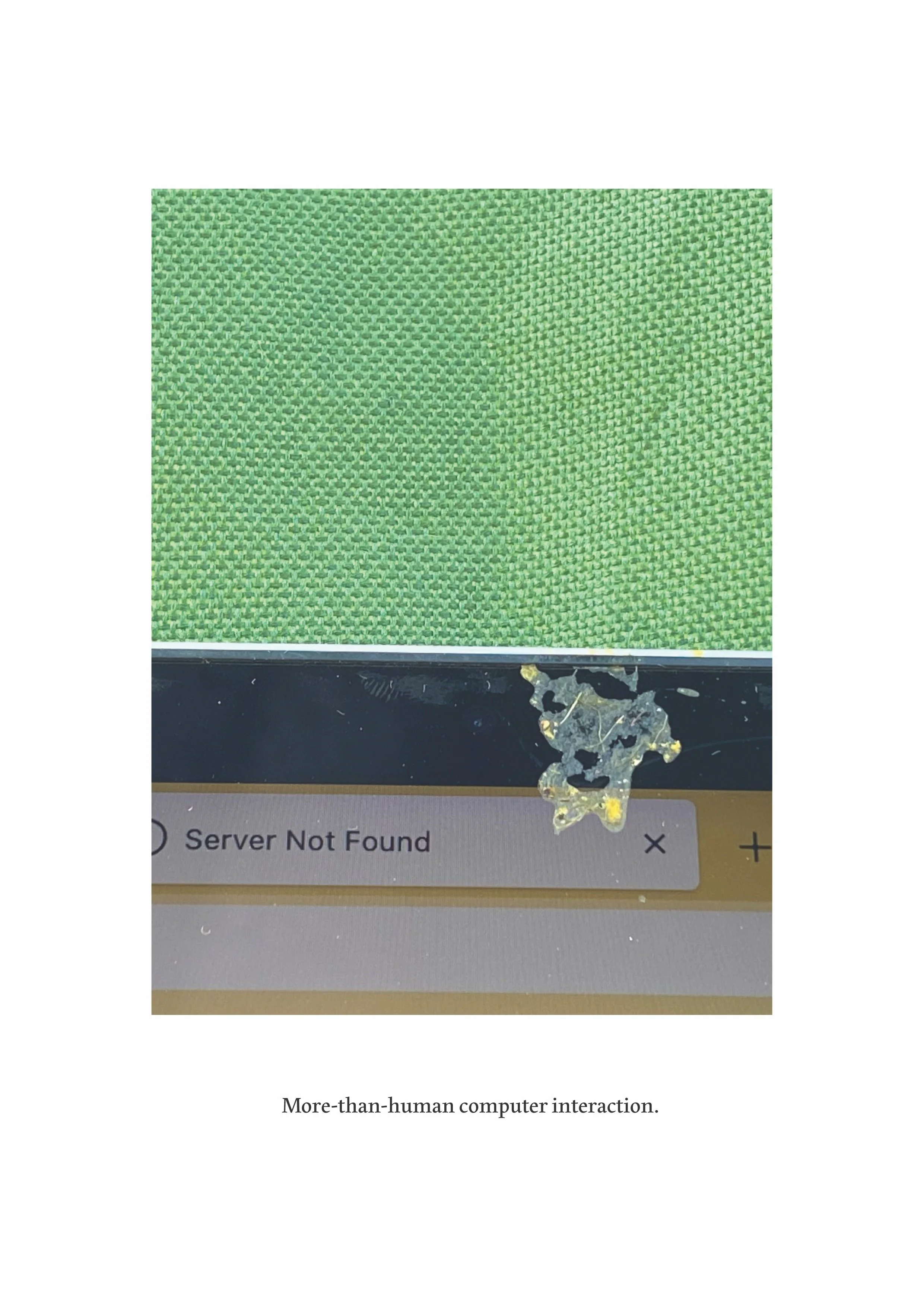 Tree Conference Process Photos-06.jpg