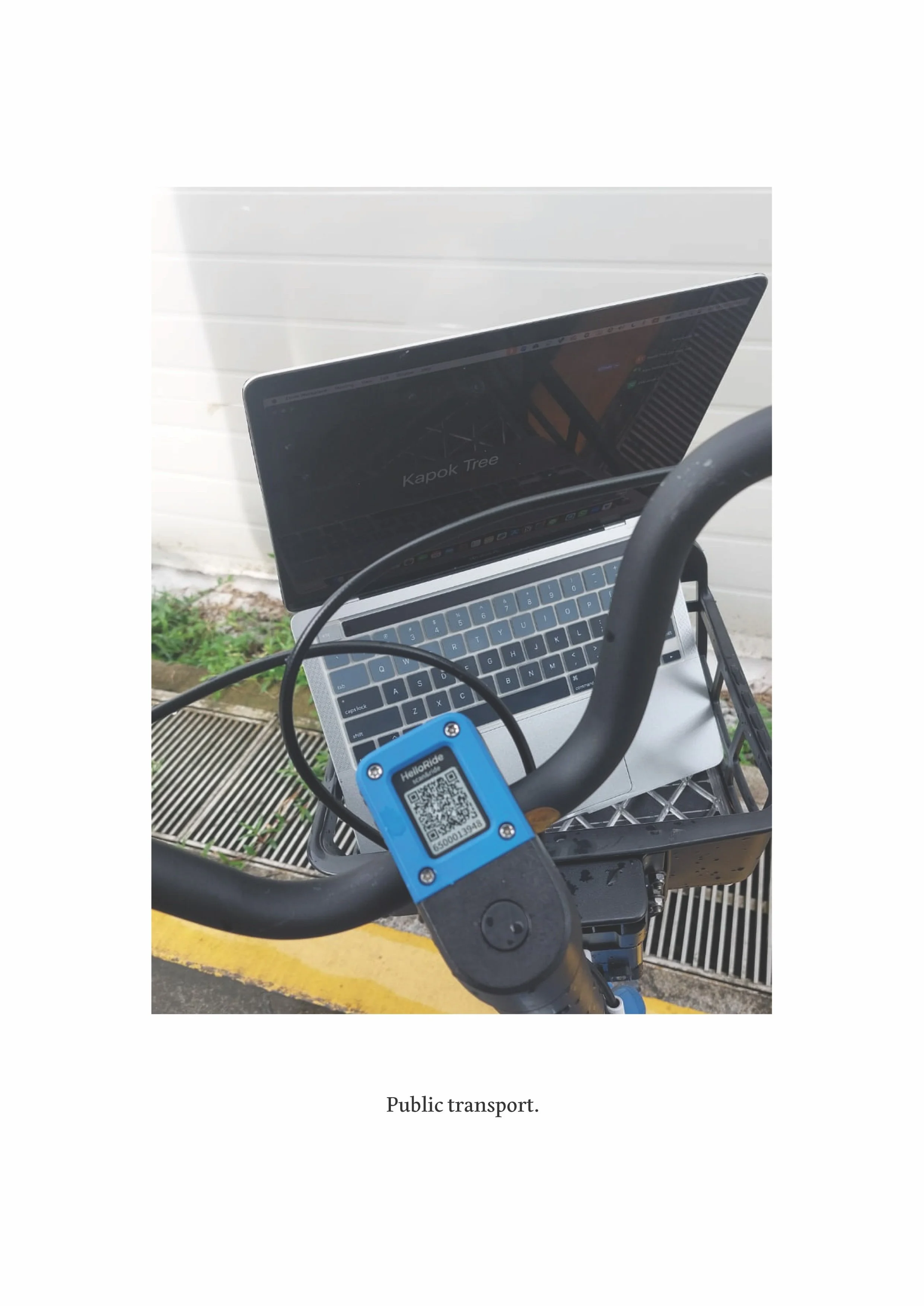 Tree Conference Process Photos-01.jpeg