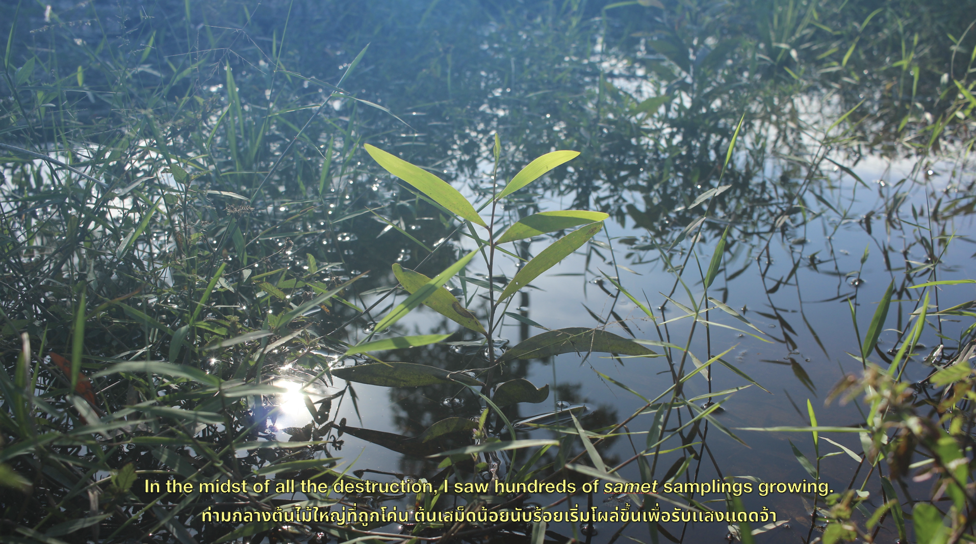 Screenshot 2026-03-19 at 2.15.35 PM.png