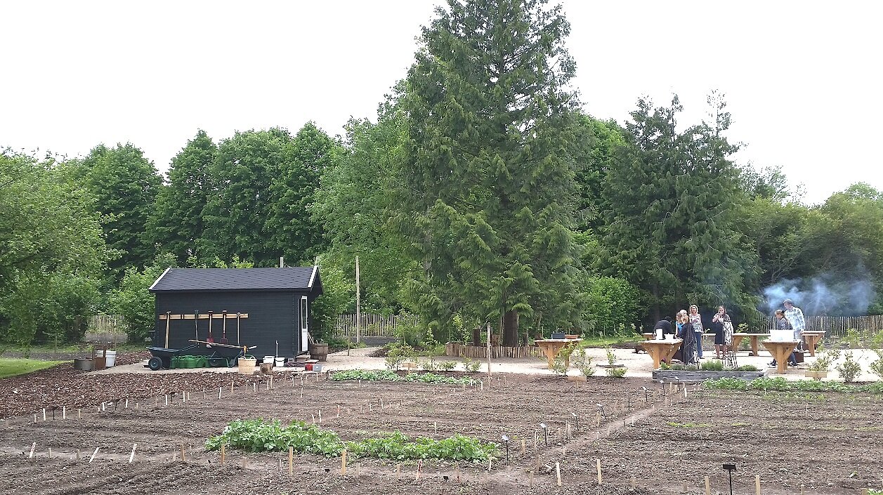 SCHOOL GARDEN