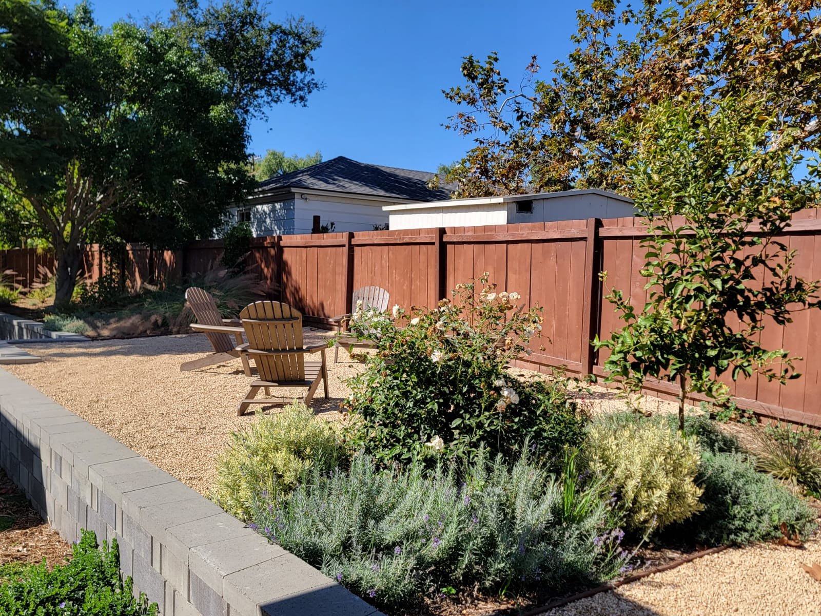 Post-War Modernism Garden Design - Chula Vista, California (Copy)