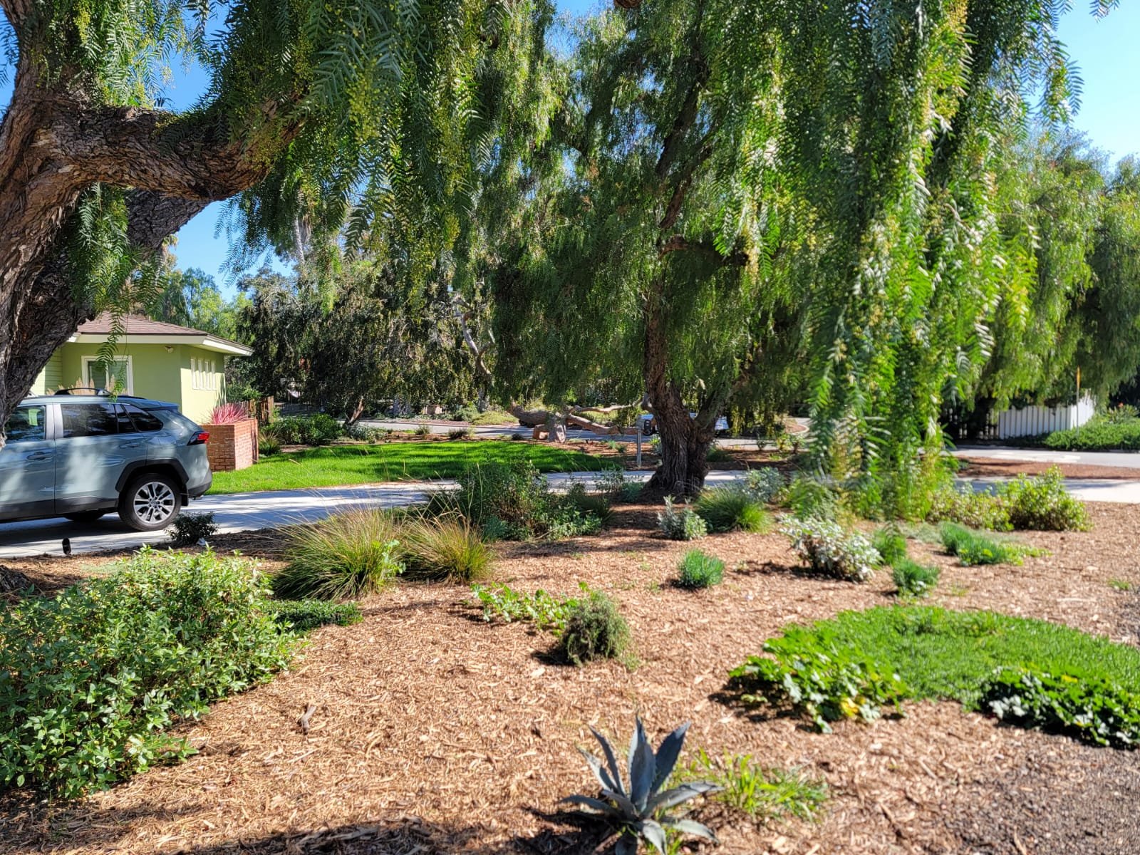 Nature Restoraton Project - Chula Vista, California