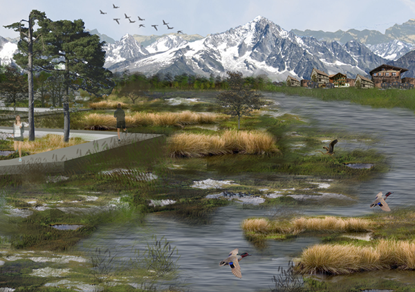 Landscape Wetland Restoration, Urban Park