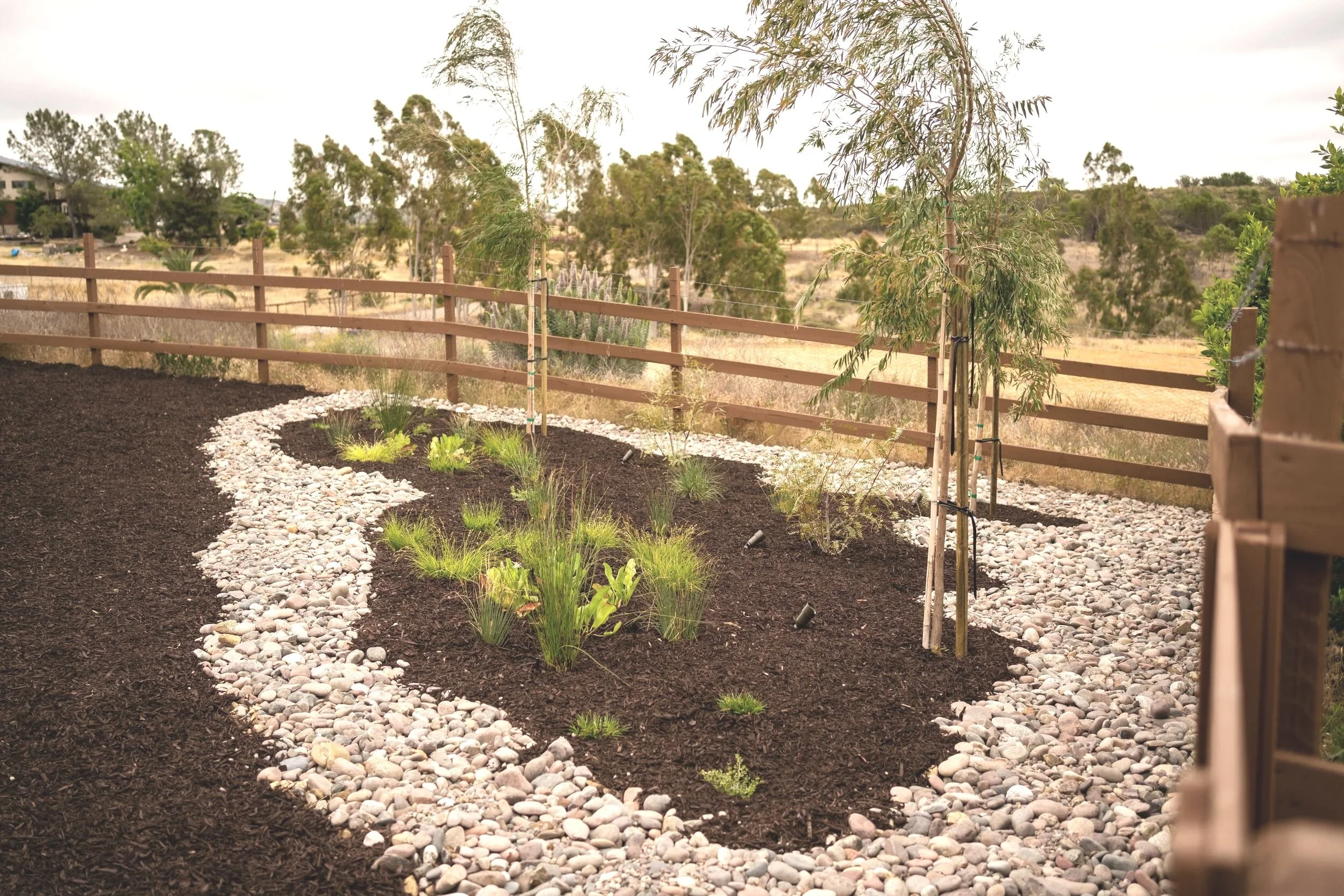 Flowing Curved Stone Pathway