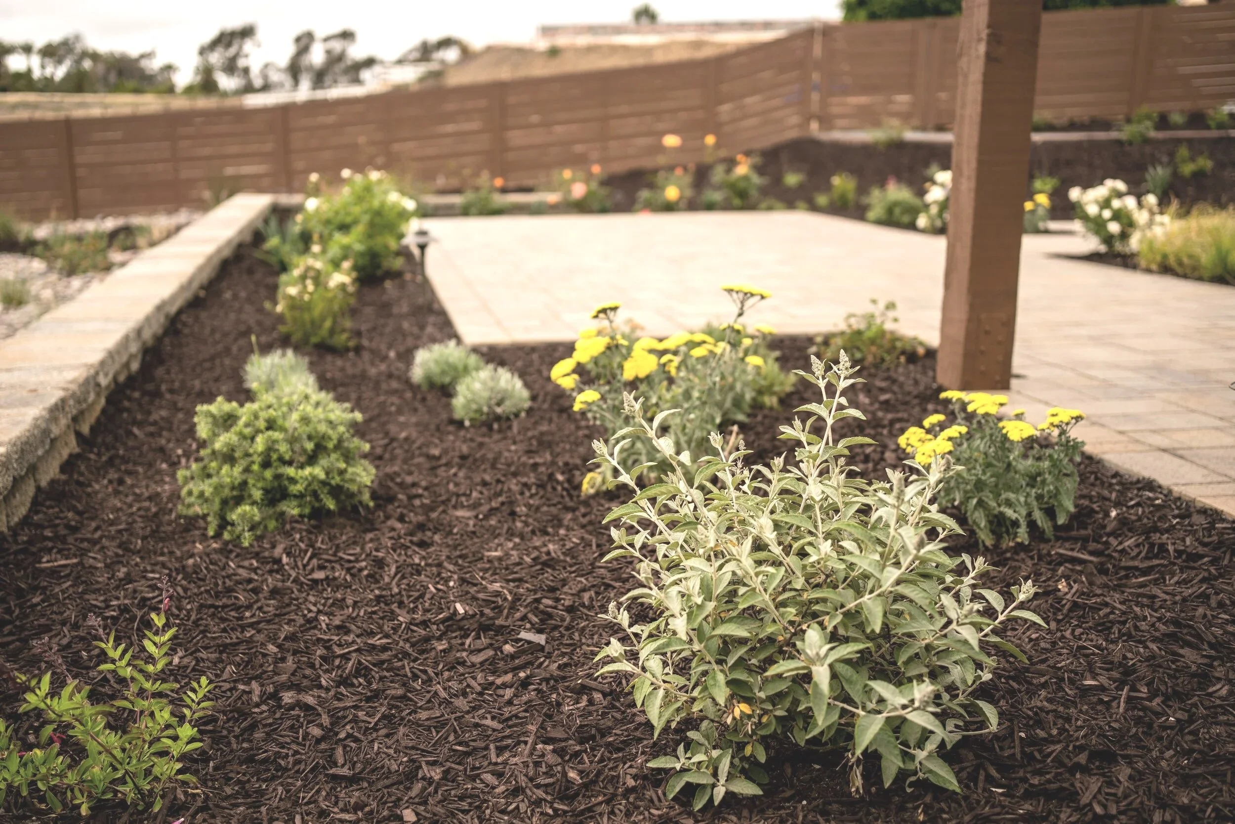 Freshly Planted Garden Beds