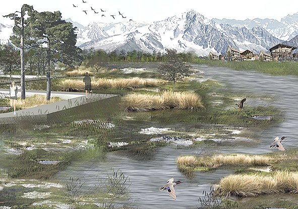 Restauración Ecológica del Parque Urbano