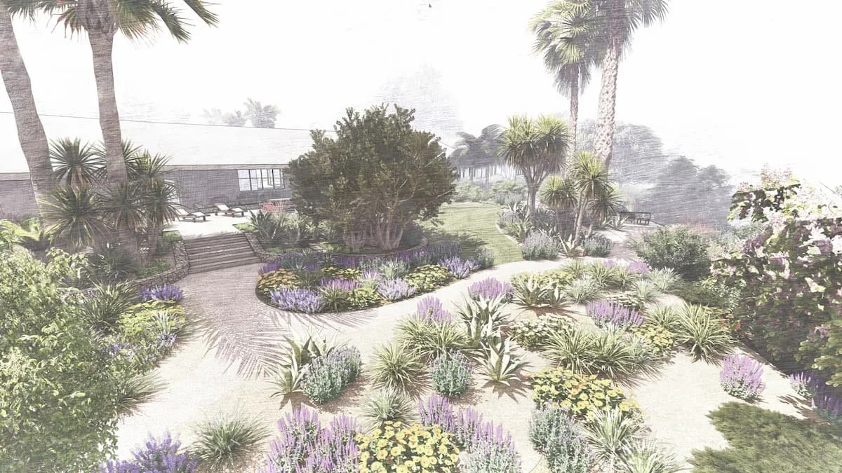 Biodiversity Garden Design Concept - California Native Landscape