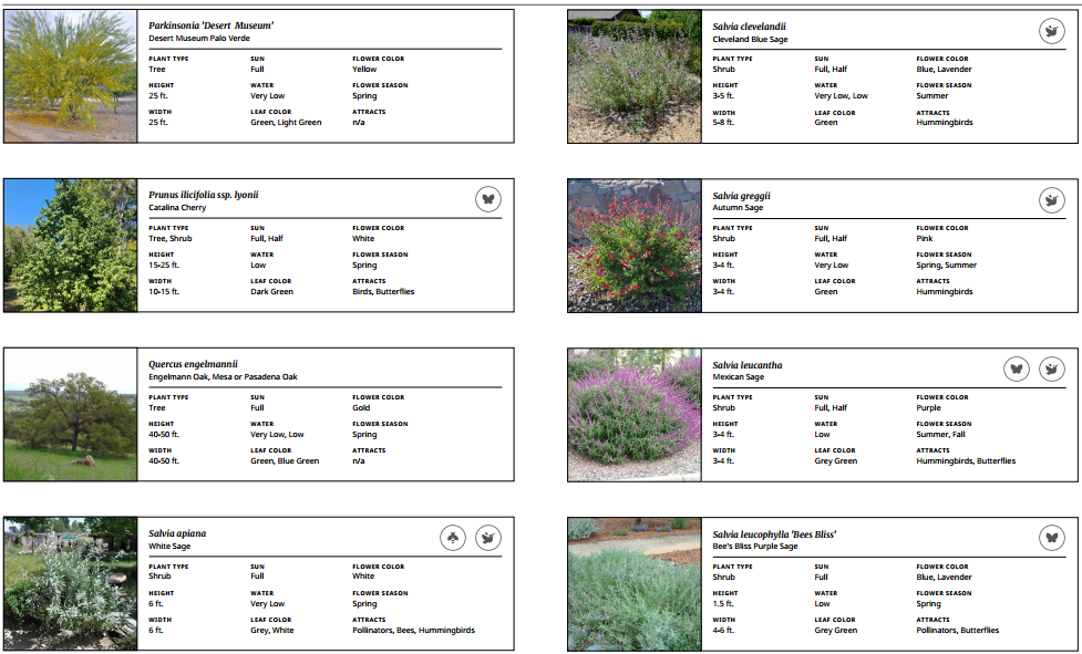 Planting Plan selection #3.png