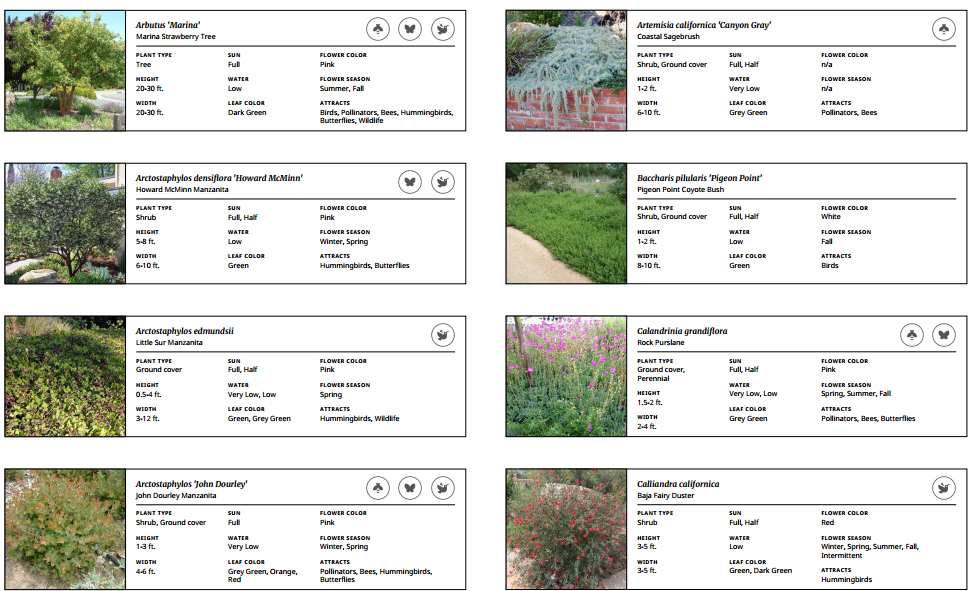 Planting Plan selection #4.png