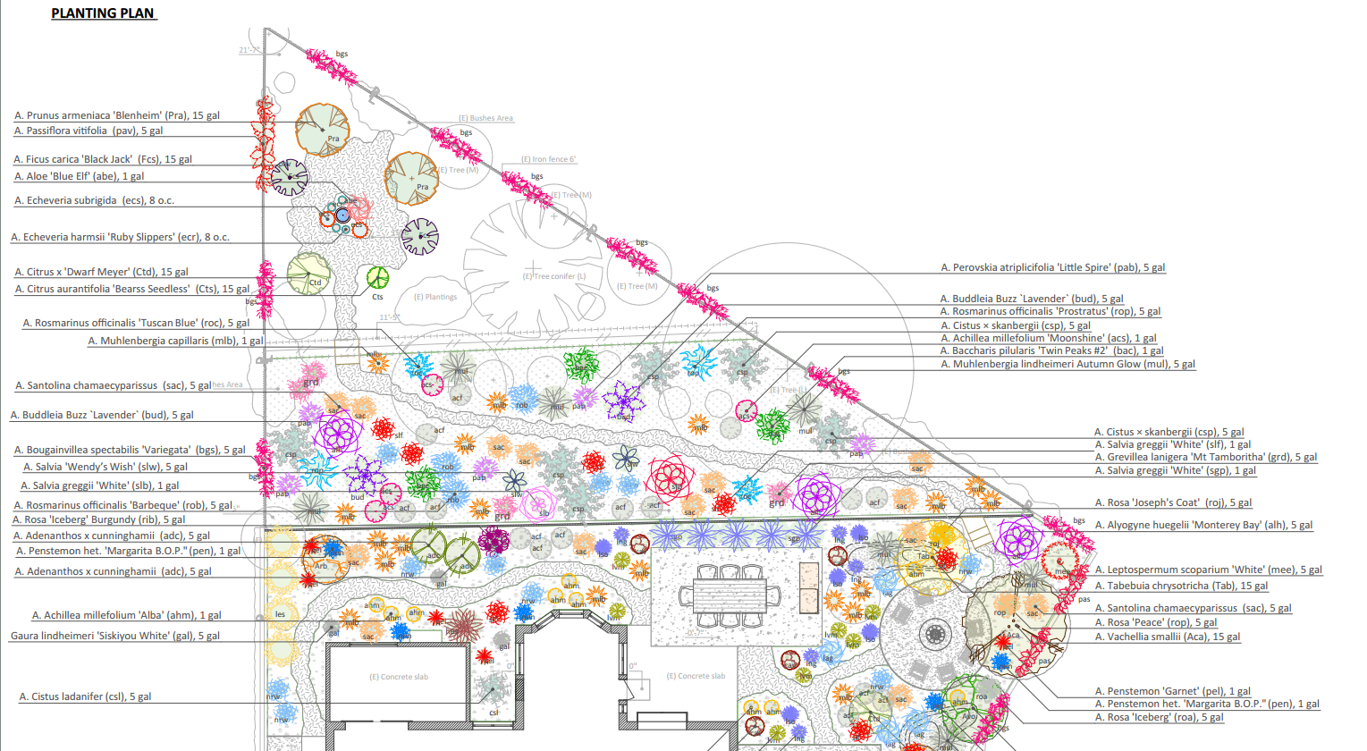 Layered Planting Plan for Laguna Niguel Backyard Garden