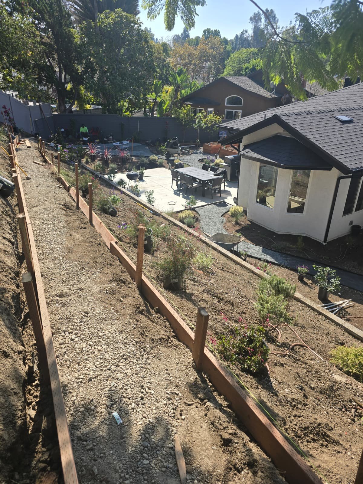 Hillside Planting and Path Construction