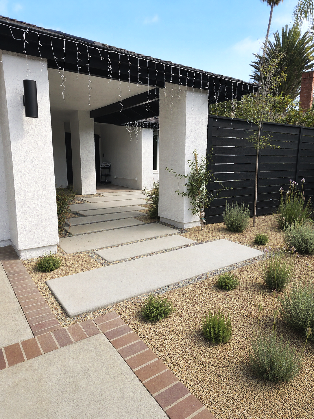 Modern Entry Steps with Low-Water California Planting