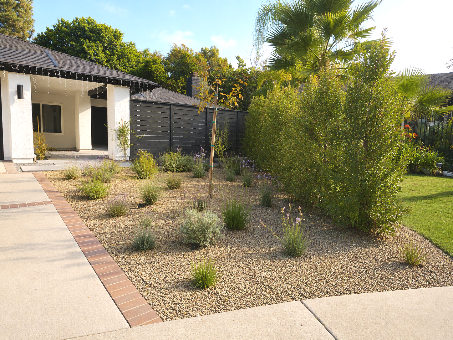 Drought-Tolerant Front Yard Design in Laguna Niguel
