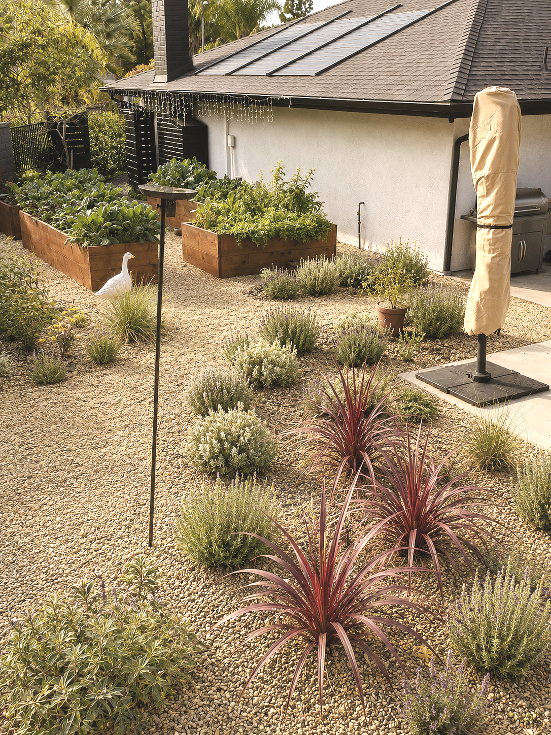 Contemporary California Garden with Gravel Paths and Habitat Planting