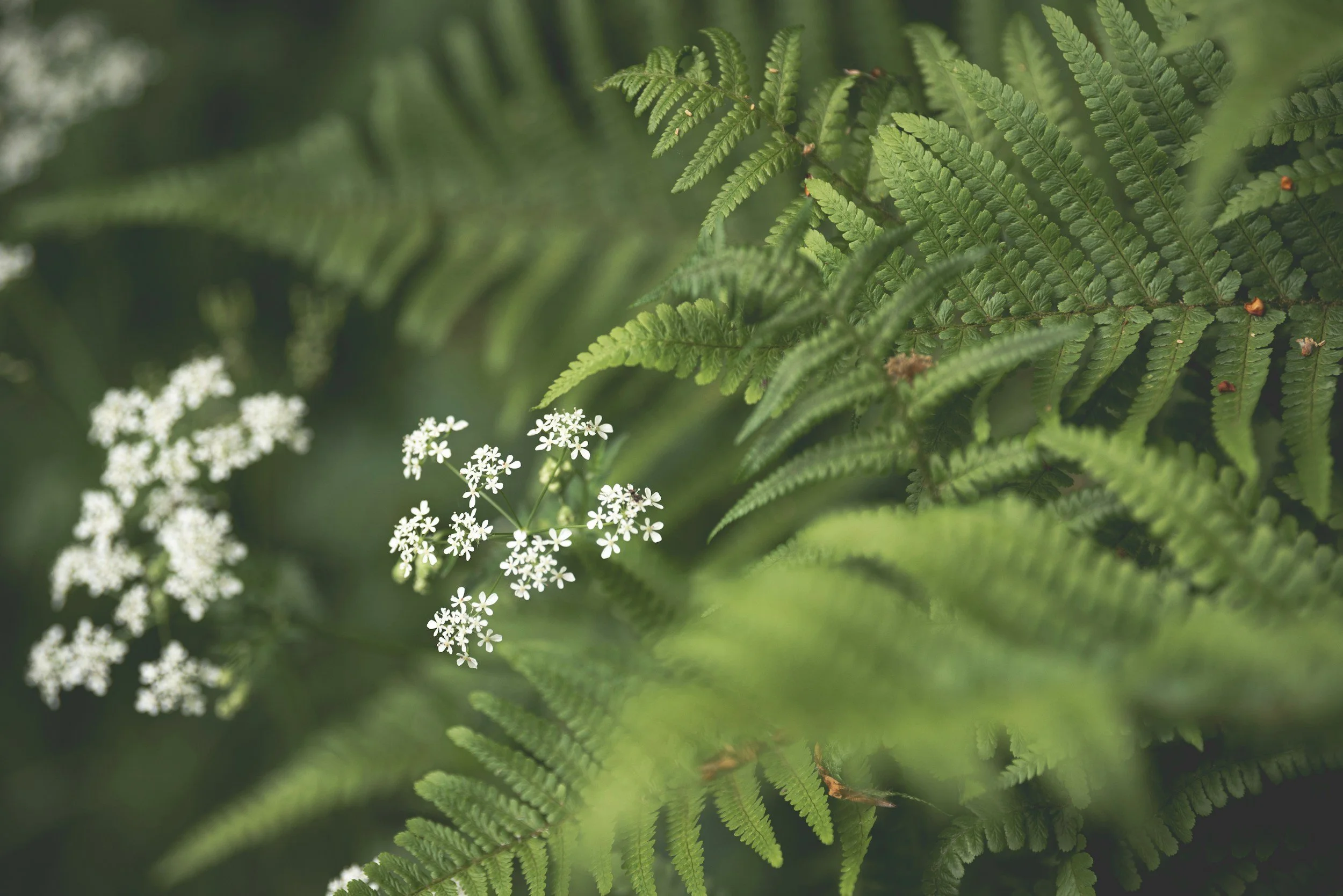 unsplash-image-UfiyoBAtblw.jpg