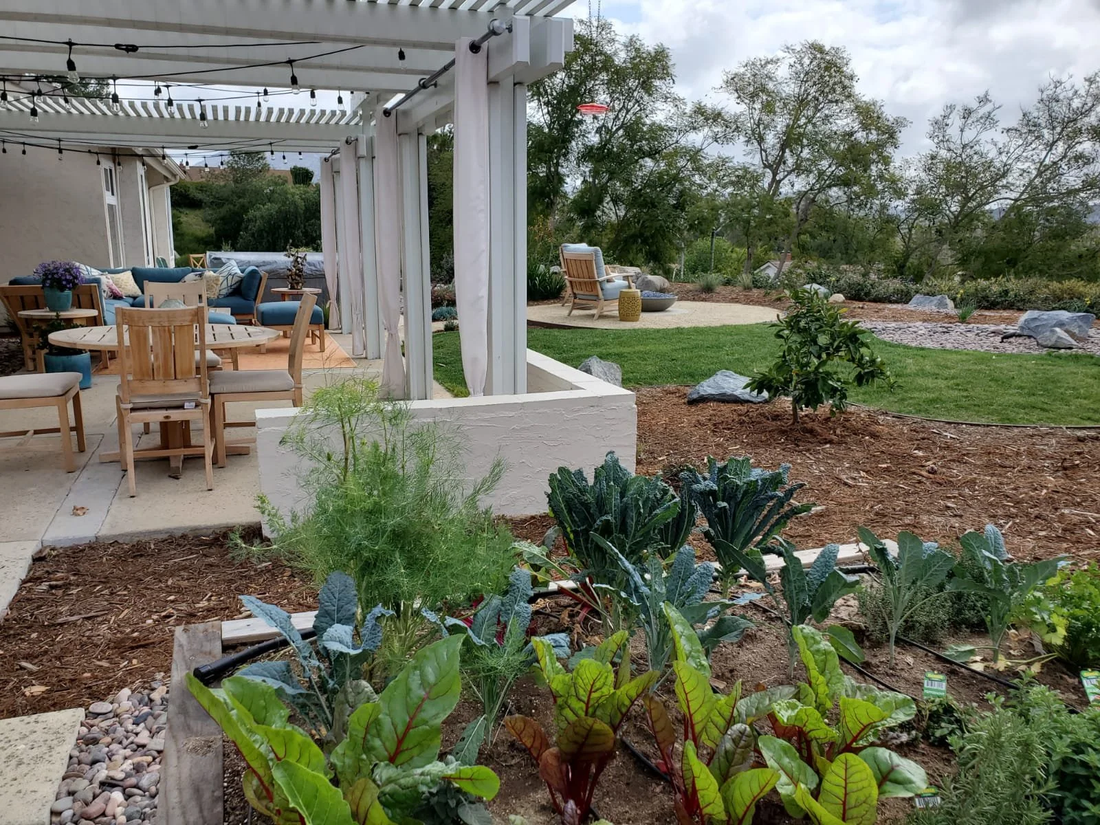 Covered Patio Framed by Planting