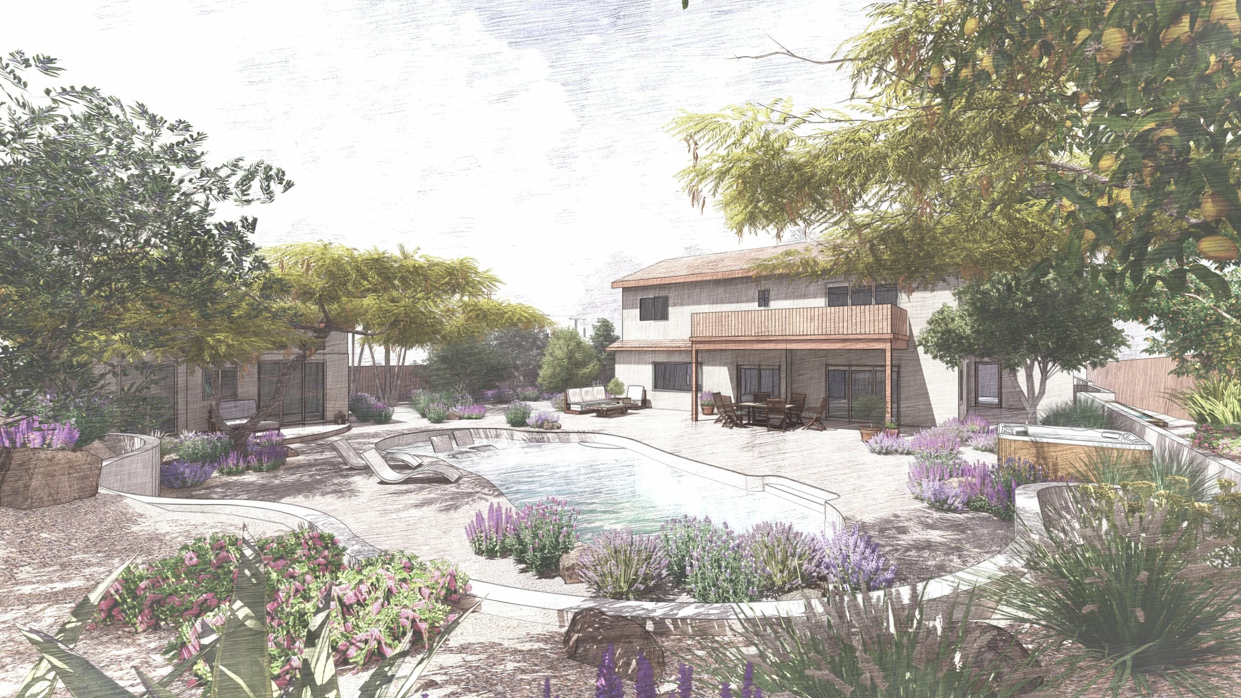 California Native Garden Design - La Jolla Concept Sketch