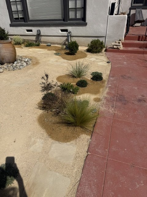 New Landscape Planting Detail