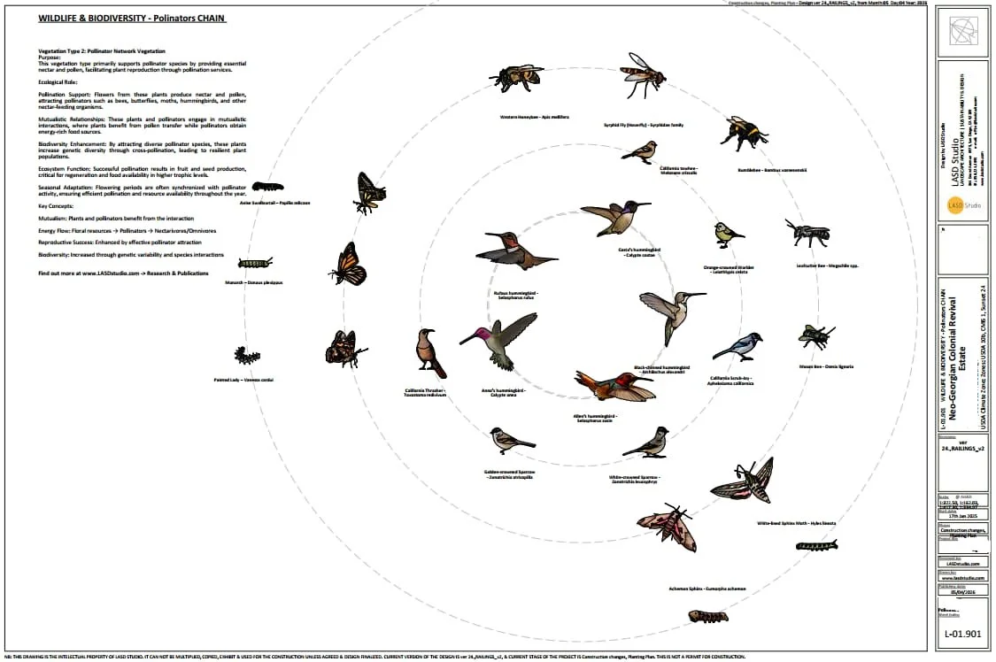Wildlife and Biodiversity layout of the design - LASD Studio.jpg
