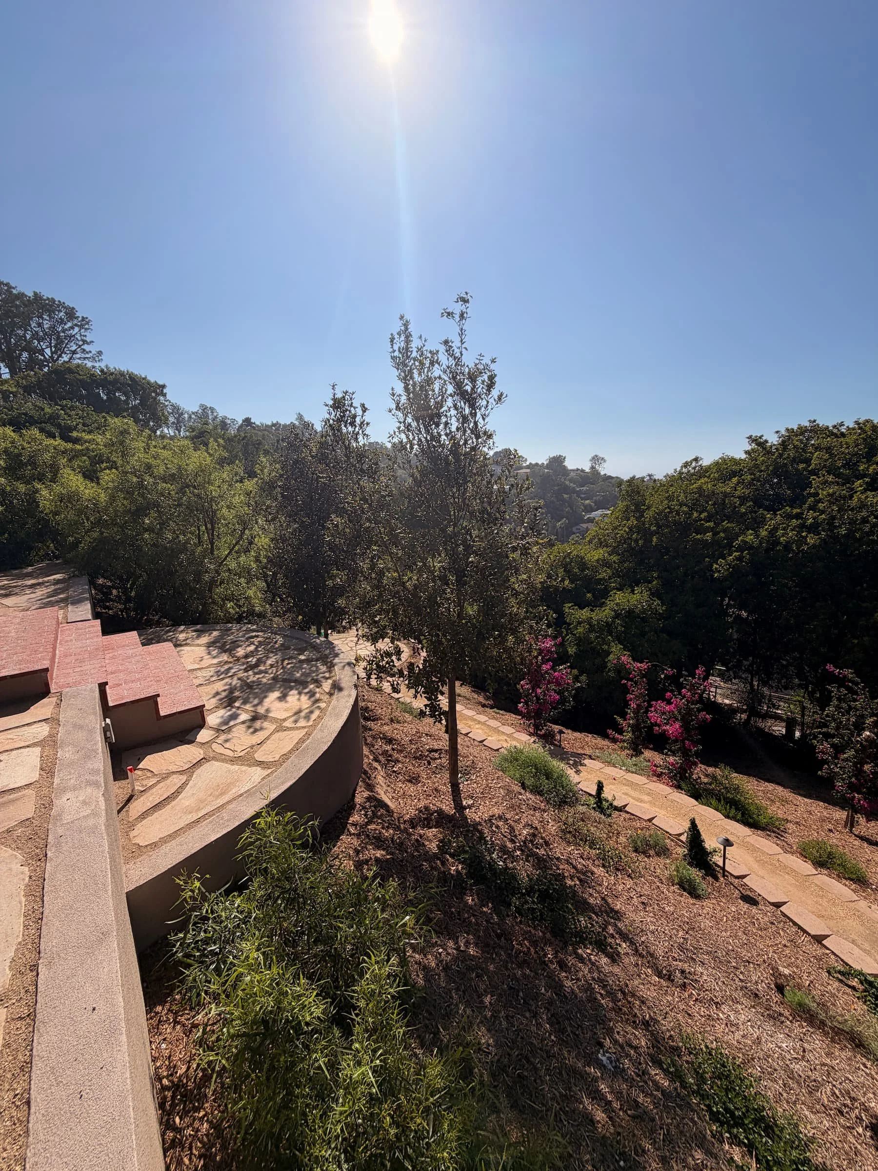 Plants, trees - NeoGeorgian Garden design in La Jolla, LASD.jpg