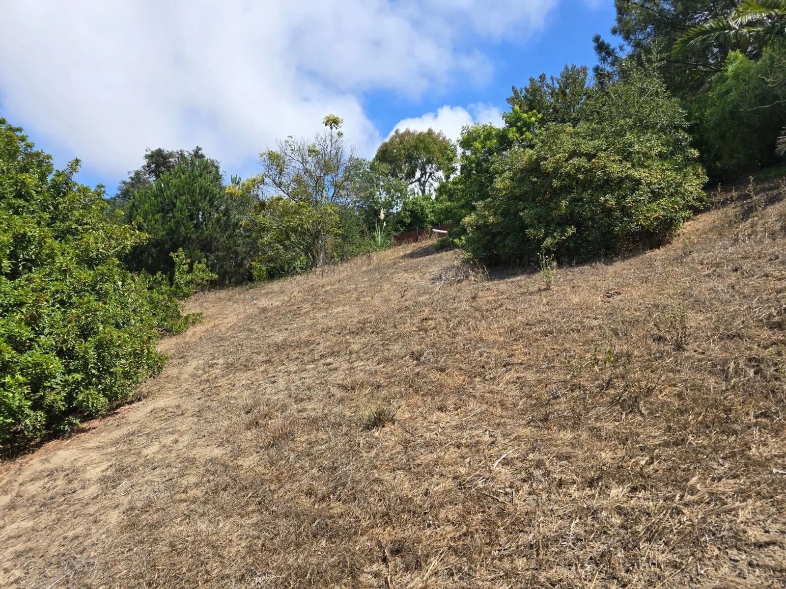 Existing  photo 1 - slope.jpg