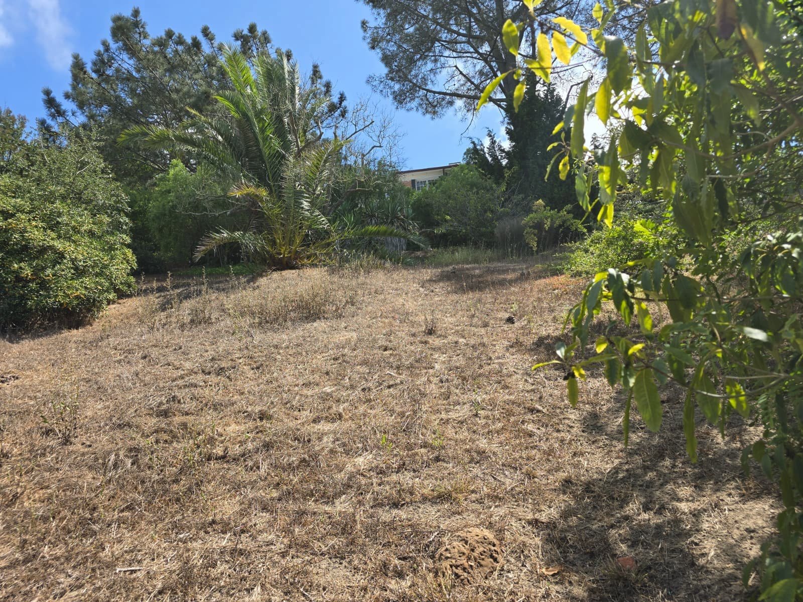 Existing  photo 2.jpg