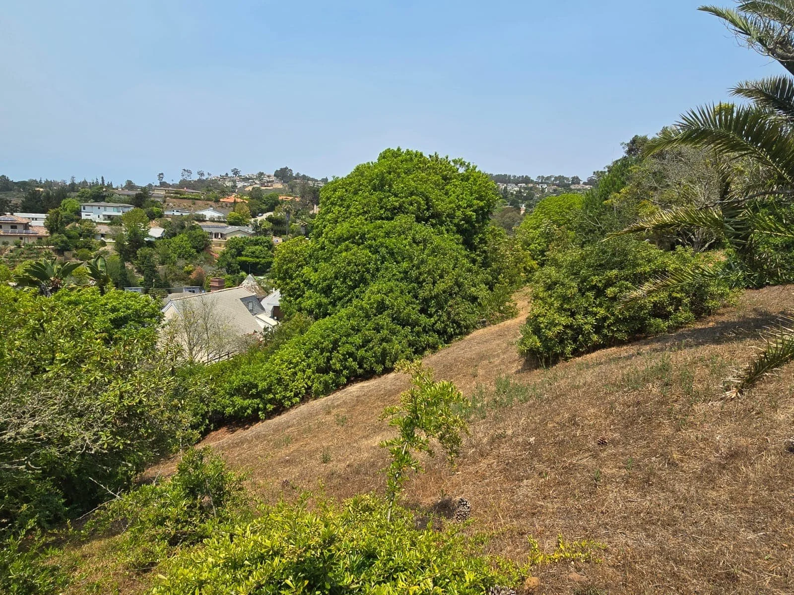 Existing  photo 7.jpg