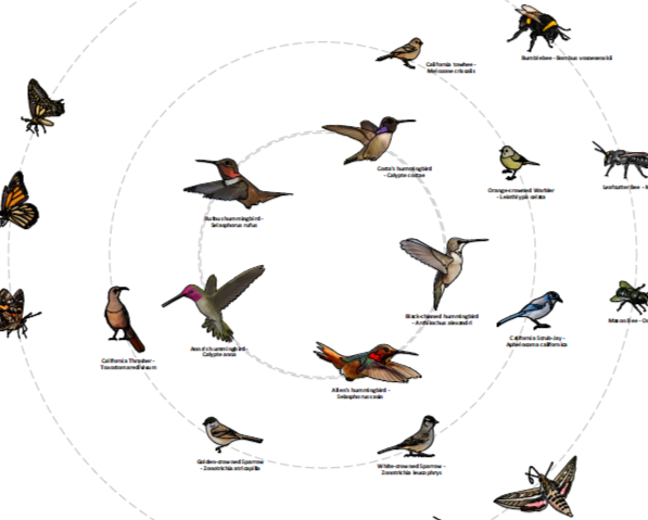 Nature Restoration Project for Wildlife and Biodiversity