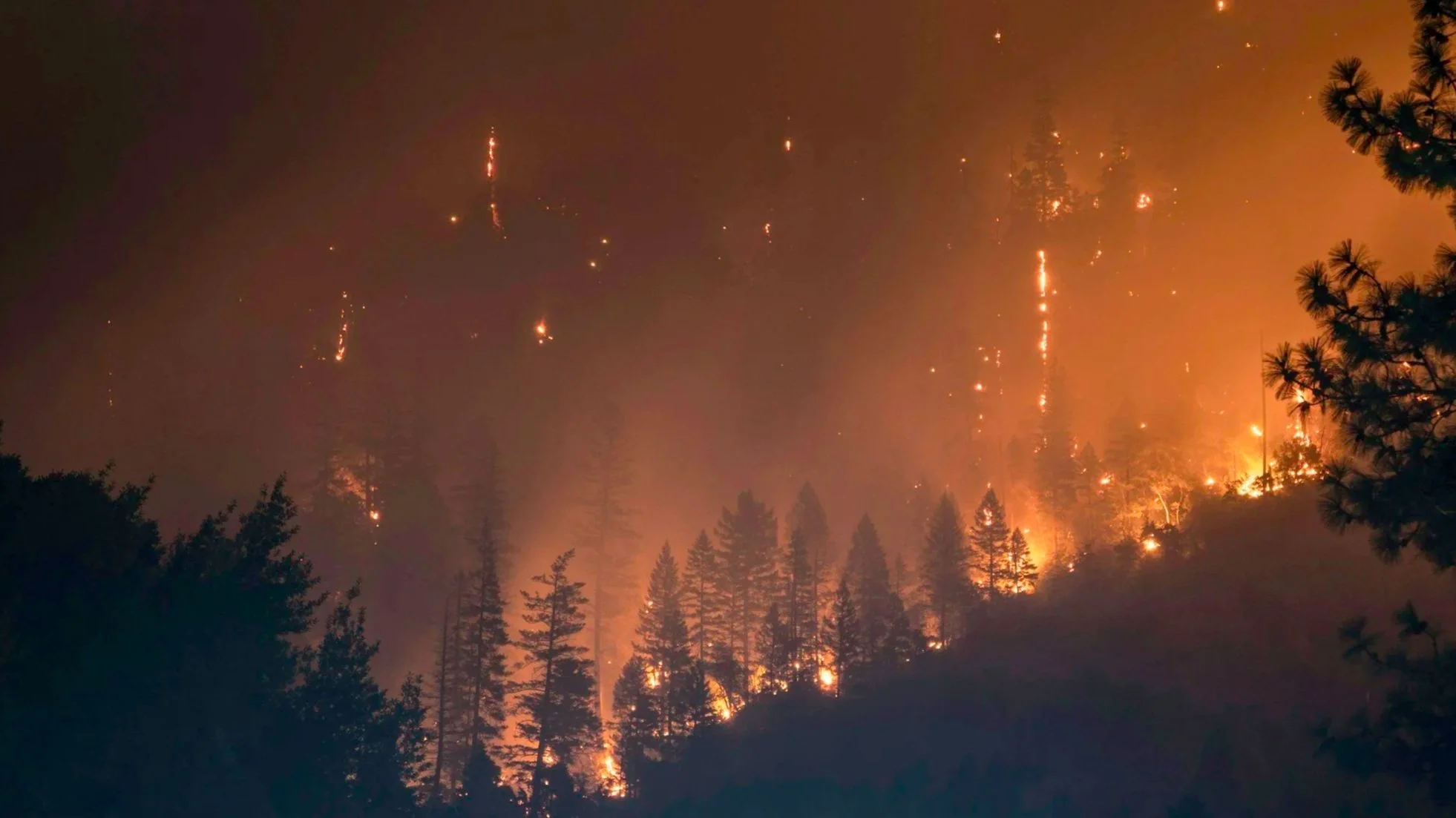 wildfire design preventive infrastructure, design with LASD Studio