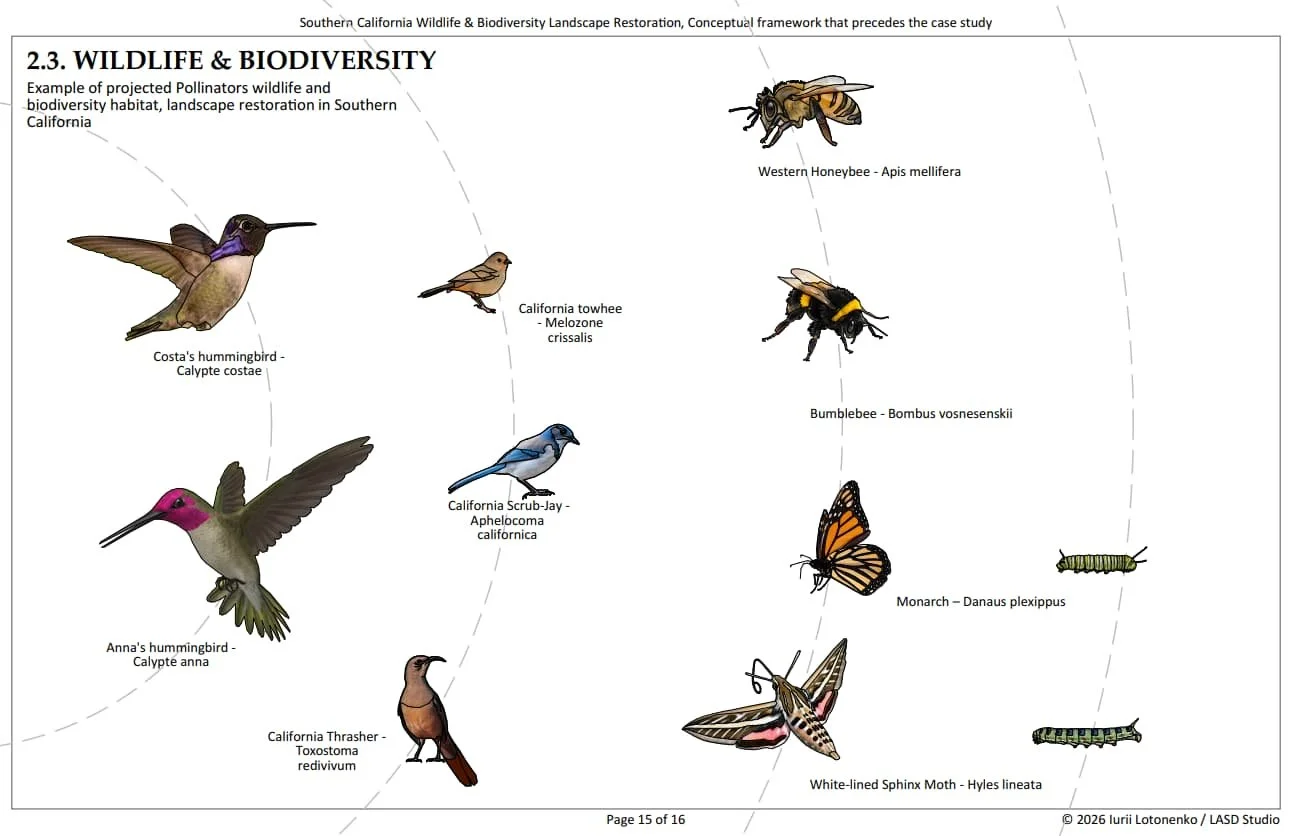 Wildlife and Biodiversity, projected outcome of landscape architectural design
