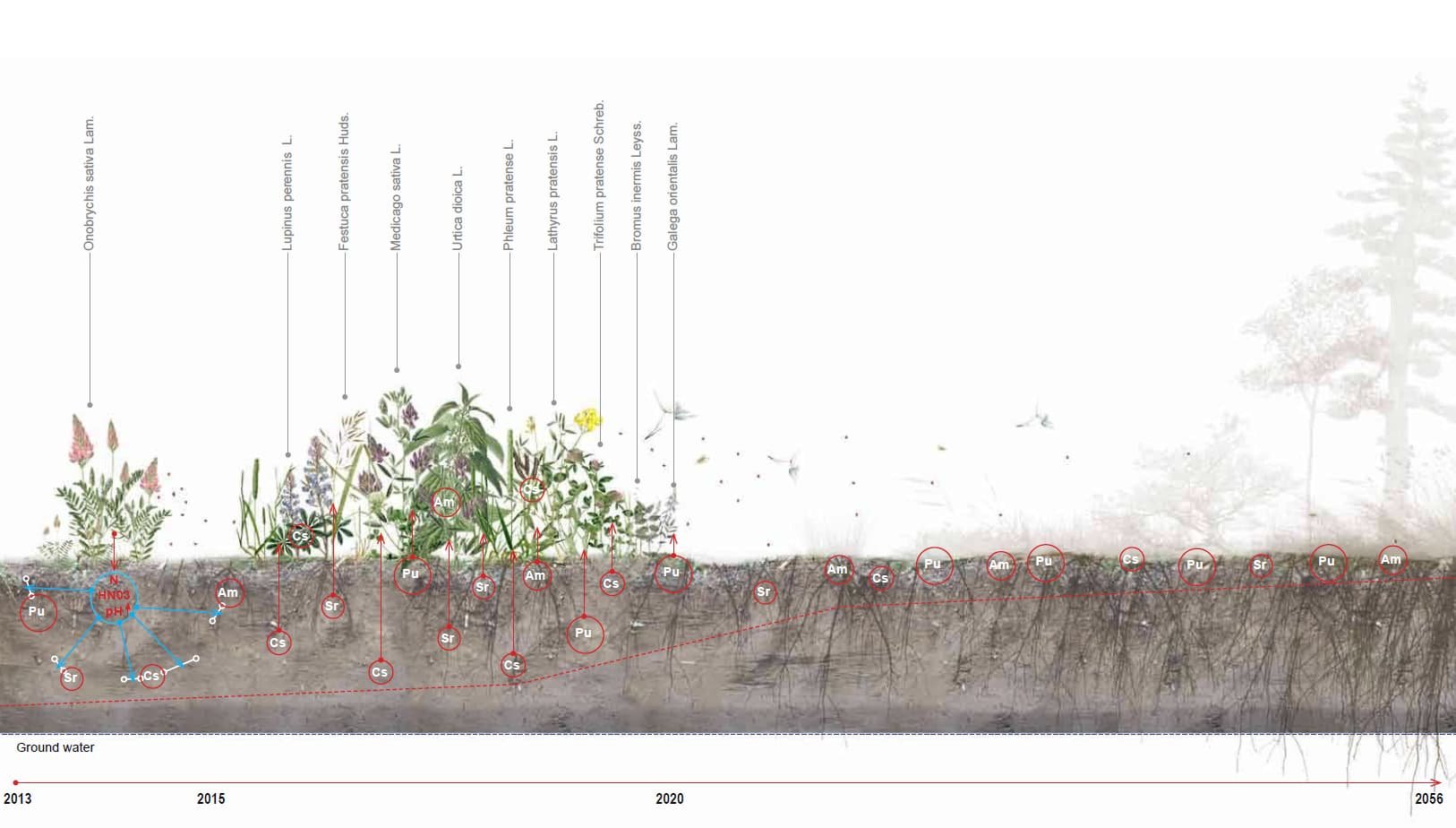 Diagram of plant growing in soil showing root system, with labels for soil nutrients and chemicals, including nitrogen, ammonium, nitrate, and other compounds, with a timeline from 2013 to 2056.