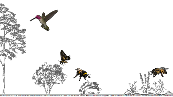 Illustration of hummingbird and bees flying around trees and plants, CA native planting plan for wildlife and biodiversity.